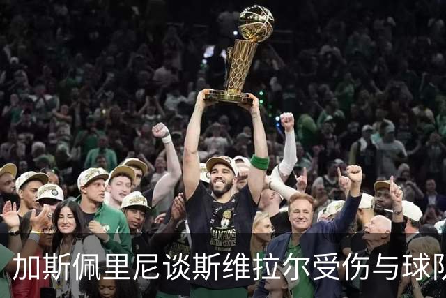 加斯佩里尼谈斯维拉尔受伤与球队备战科莫